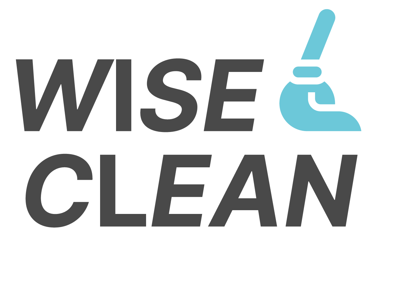 WiseClean